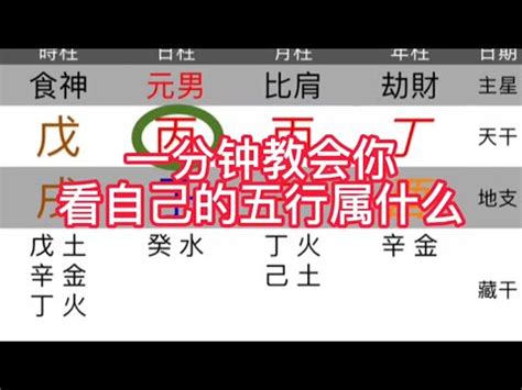 打牲禮 五行命格怎麼看